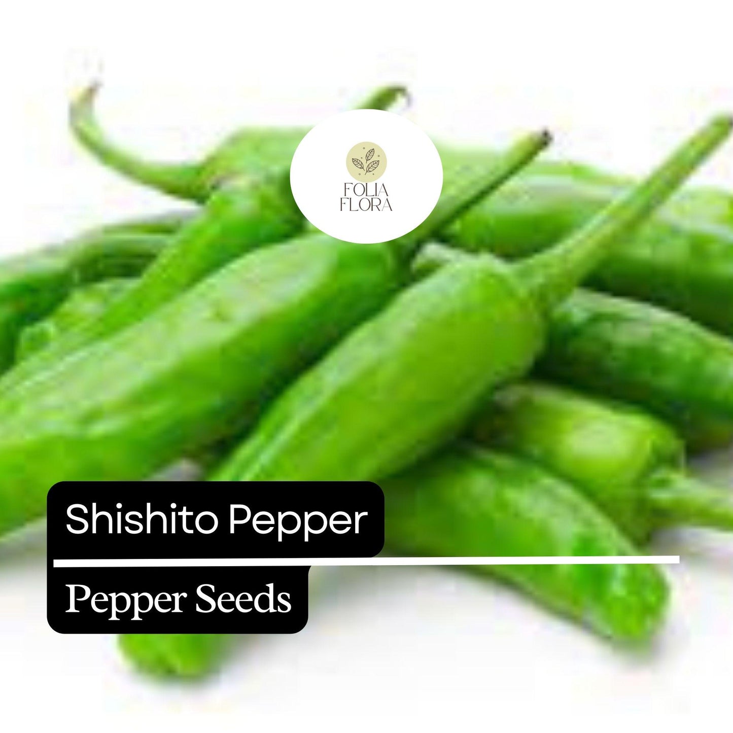 20 Shishito Pepper Seeds – Mild & Sweet – Heirloom, Non-GMO, Easy to Grow