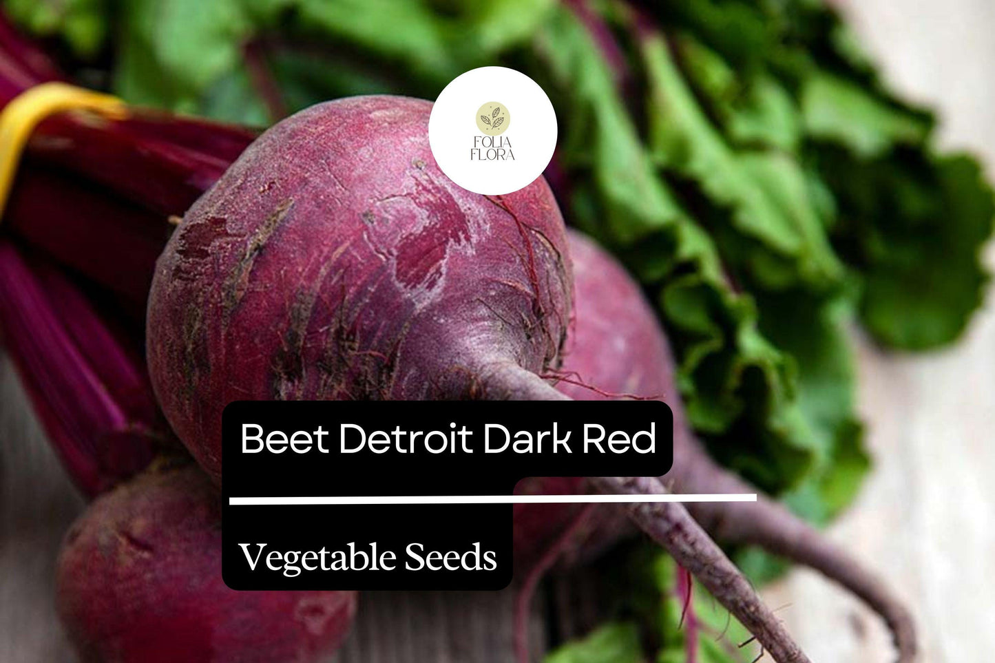 1g Beet Detroit Dark Red Seeds Beta vulgaris | Heirloom Sweet Beets for Planting | Juicy Roots & Tender Greens