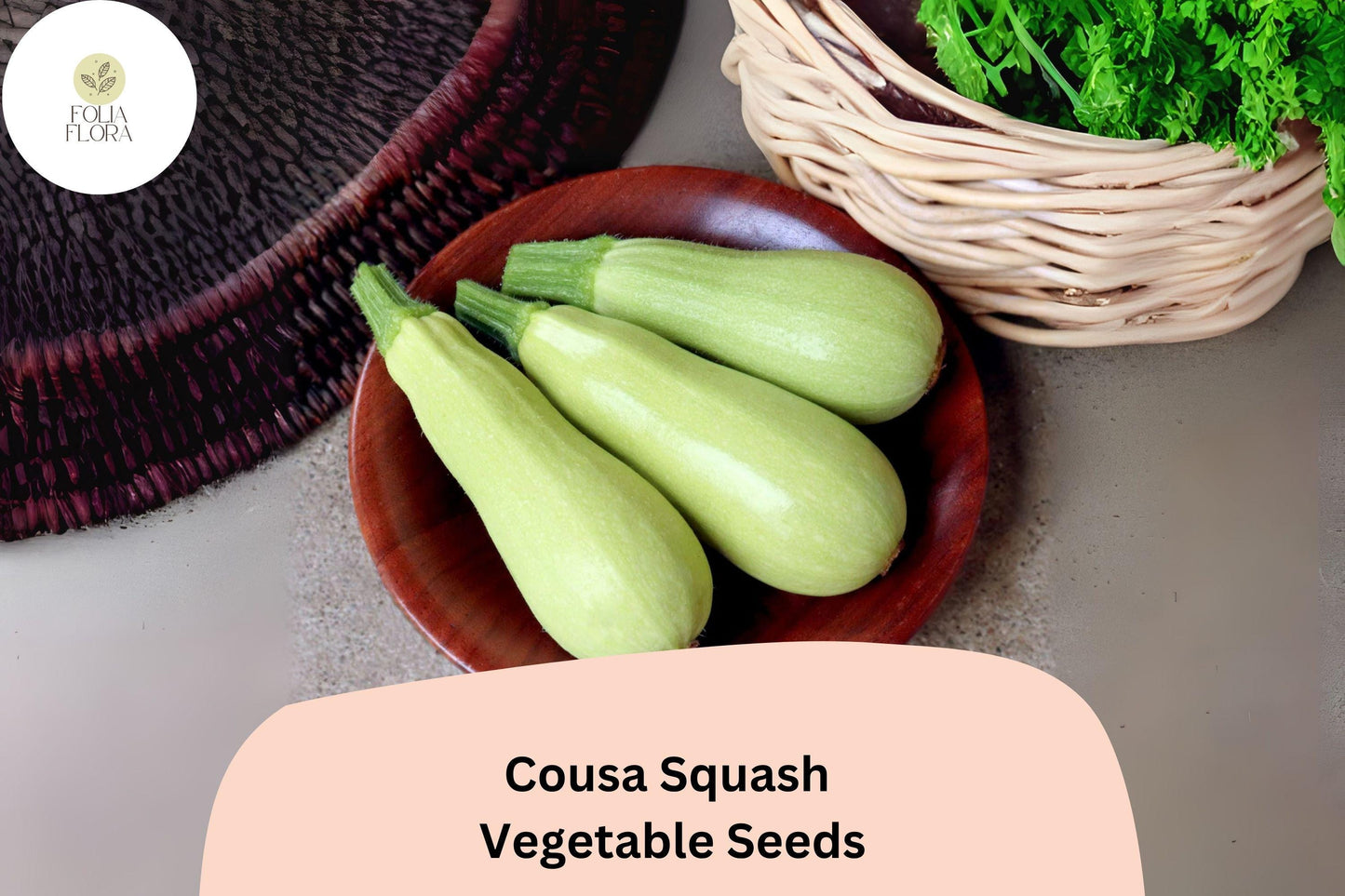 25+ Cousa Squash Seeds for Planting | Lebanese Summer Squash | Tender Heirloom Vegetable Garden Seeds