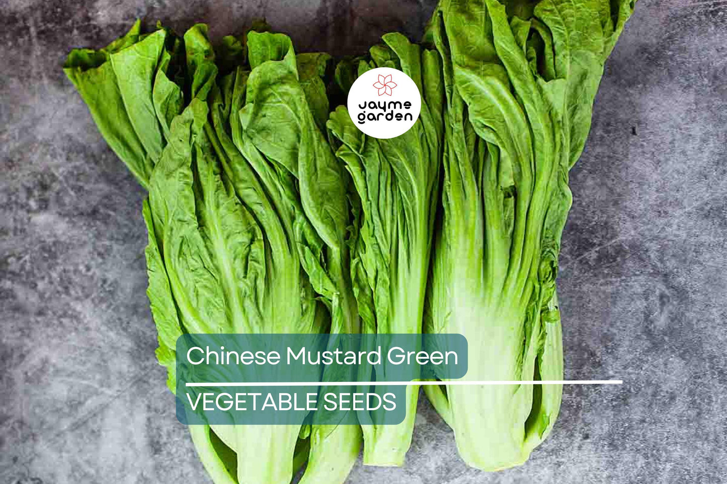 2,000 Chinese Mustard Green Seeds - Gai Choy, Cai Be Xanh, Fast-Grow, Nutrient-Rich, USA Seller, Perfect for Stir-Fries & Salads
