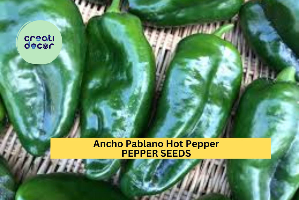 3pcs of 250mg Ancho Poblano Hot Pepper Seeds – Mild Chili Peppers for Roasting & Drying – Flavorful Hot Pepper Seeds for Planting