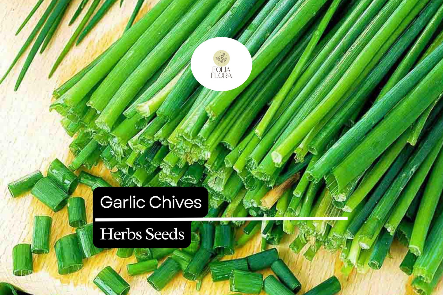 150 Garlic Chive Herb Seeds – Allium tuberosum – Mild Garlic Flavor, Perfect for Cooking, Garnishes & Salads, Easy to Grow, Non-GMO