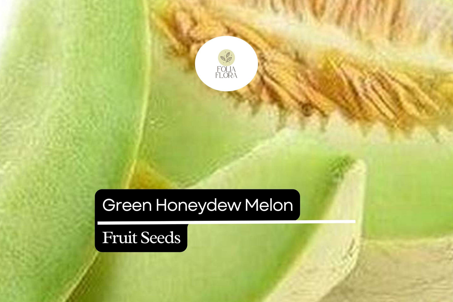 50 Seeds Green Honeydew Melon, Cucumis Melo, Sweet & Juicy Heirloom Variety