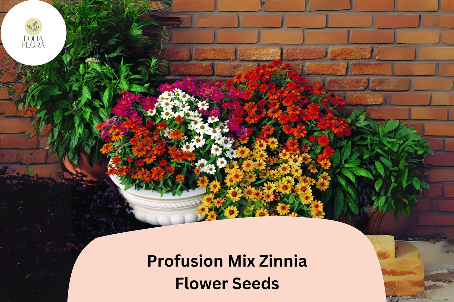 Profusion Mix Zinnia Seeds: Colorful, Compact Blooms - Pollinator Friendly