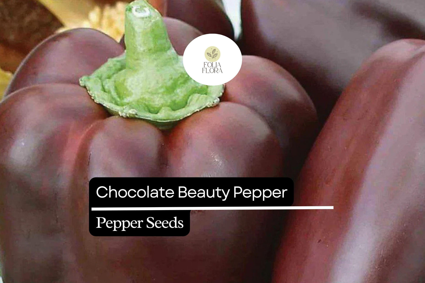 25 Chocolate Beauty Pepper Seeds – Capsicum annuum – Sweet Bell Pepper, Rich Chocolate Color, Non-GMO, Heirloom, Crisp & Juicy