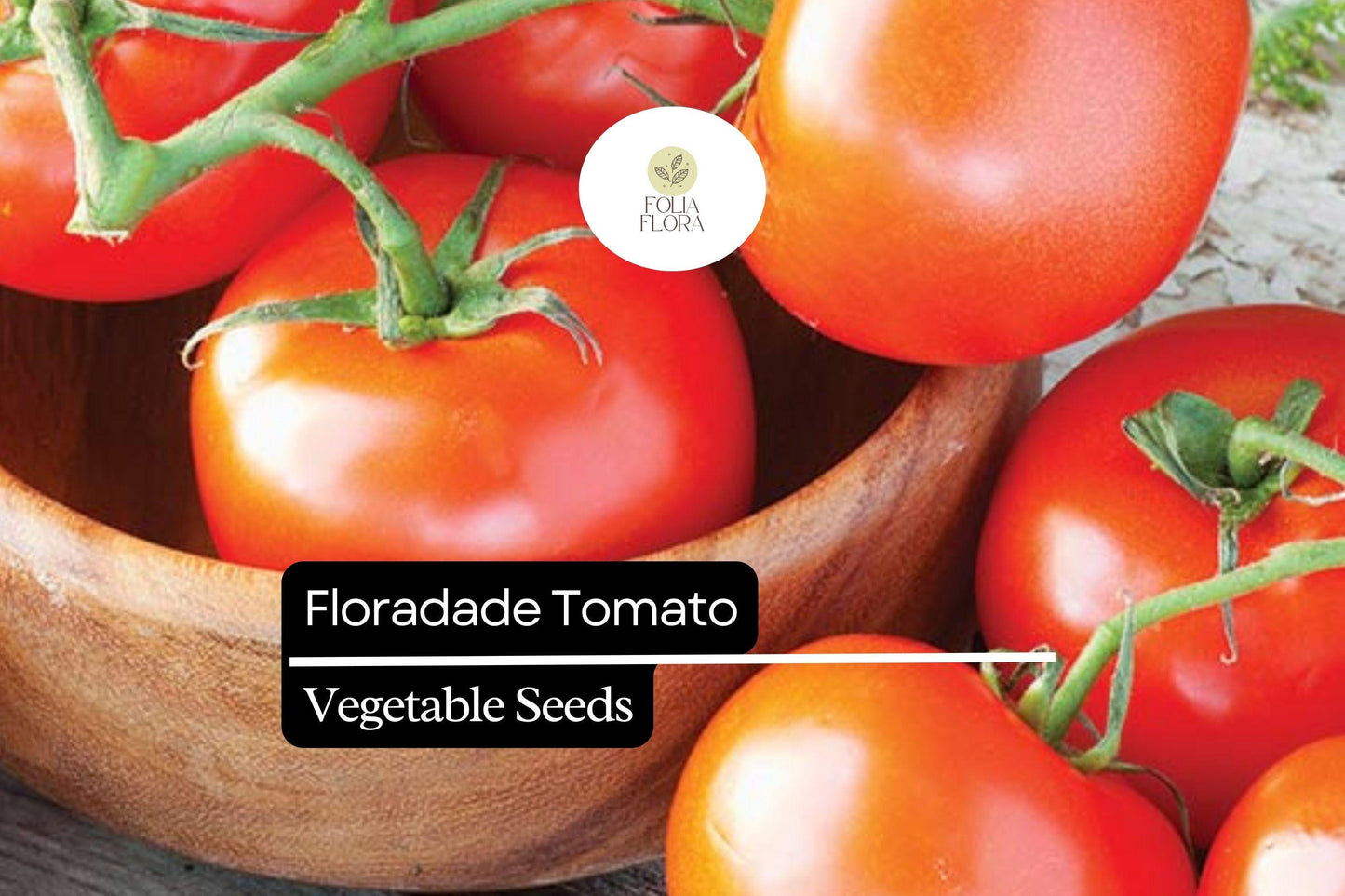 50 Seeds Floradade Tomato (Solanum lycopersicum) – Heat-Tolerant, High-Yielding Variety