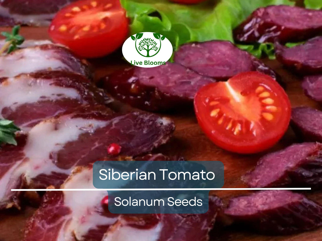 50 Siberian Tomato Seeds | Dwarf Determinate | Lycopersicon esculentum | Heirloom | Cold Hardy | Early | Non-GMO | Container Friendly