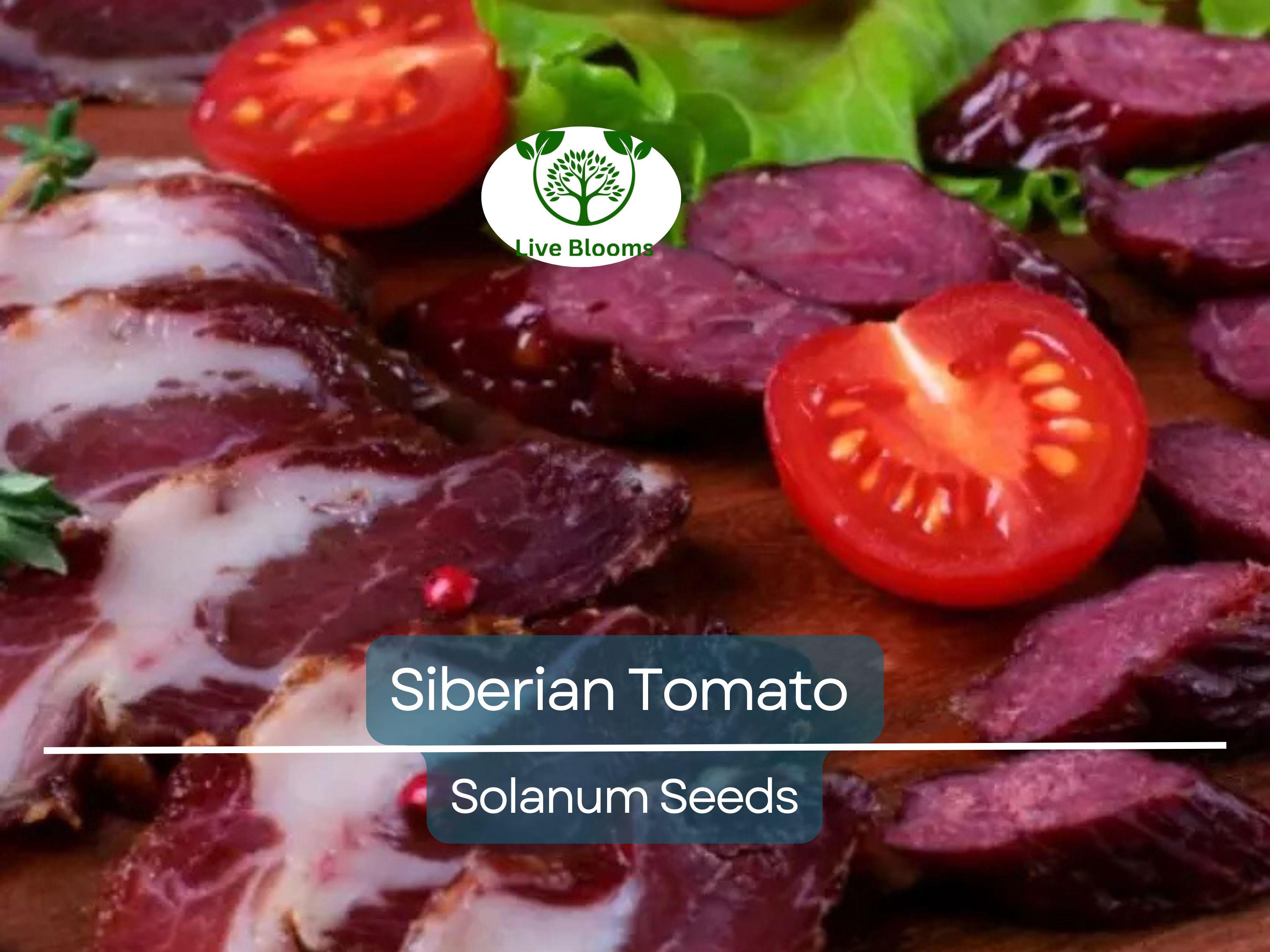 50 Siberian Tomato Seeds | Dwarf Determinate | Lycopersicon esculentum | Heirloom | Cold Hardy | Early | Non-GMO | Container Friendly