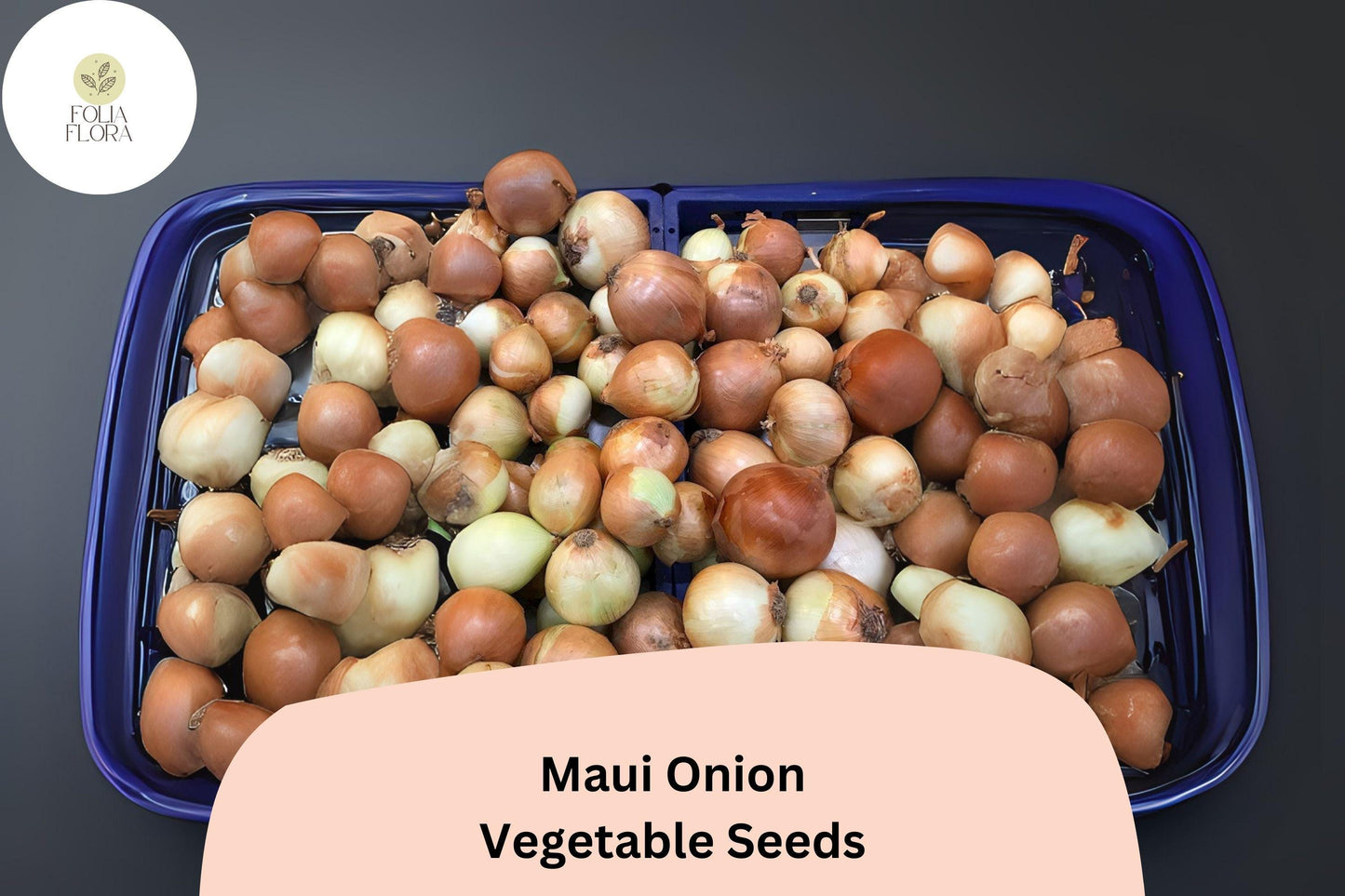 500+ Maui Onion Seeds | Sweet Onion Variety | Garden Planting | Mild Flavor | Great for Salads, Grilling & Cooking