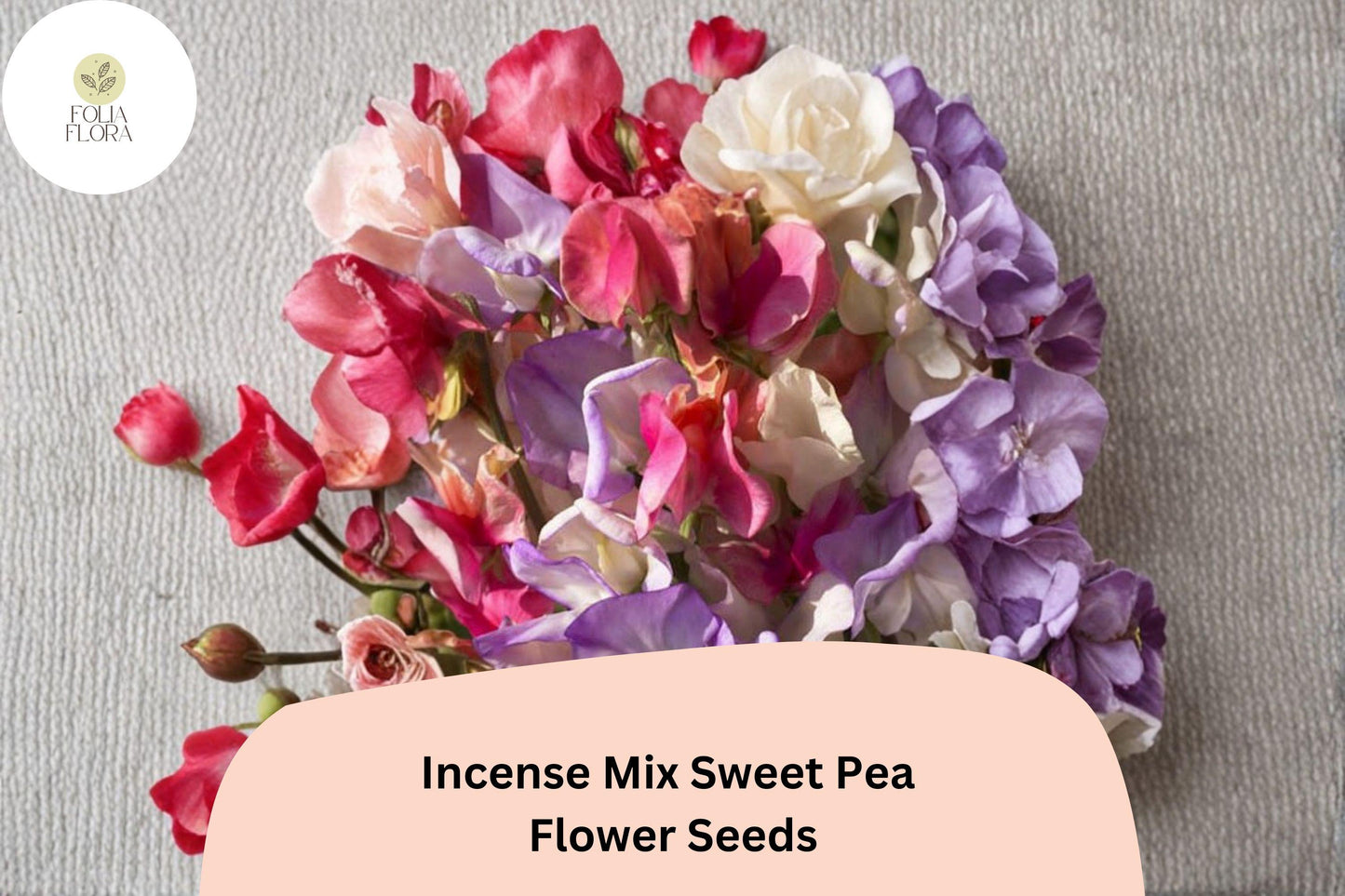 Incense Mix Sweet Pea Seeds | Lathyrus odoratus Mixed Colors Garden Flowers (50+ Seeds)