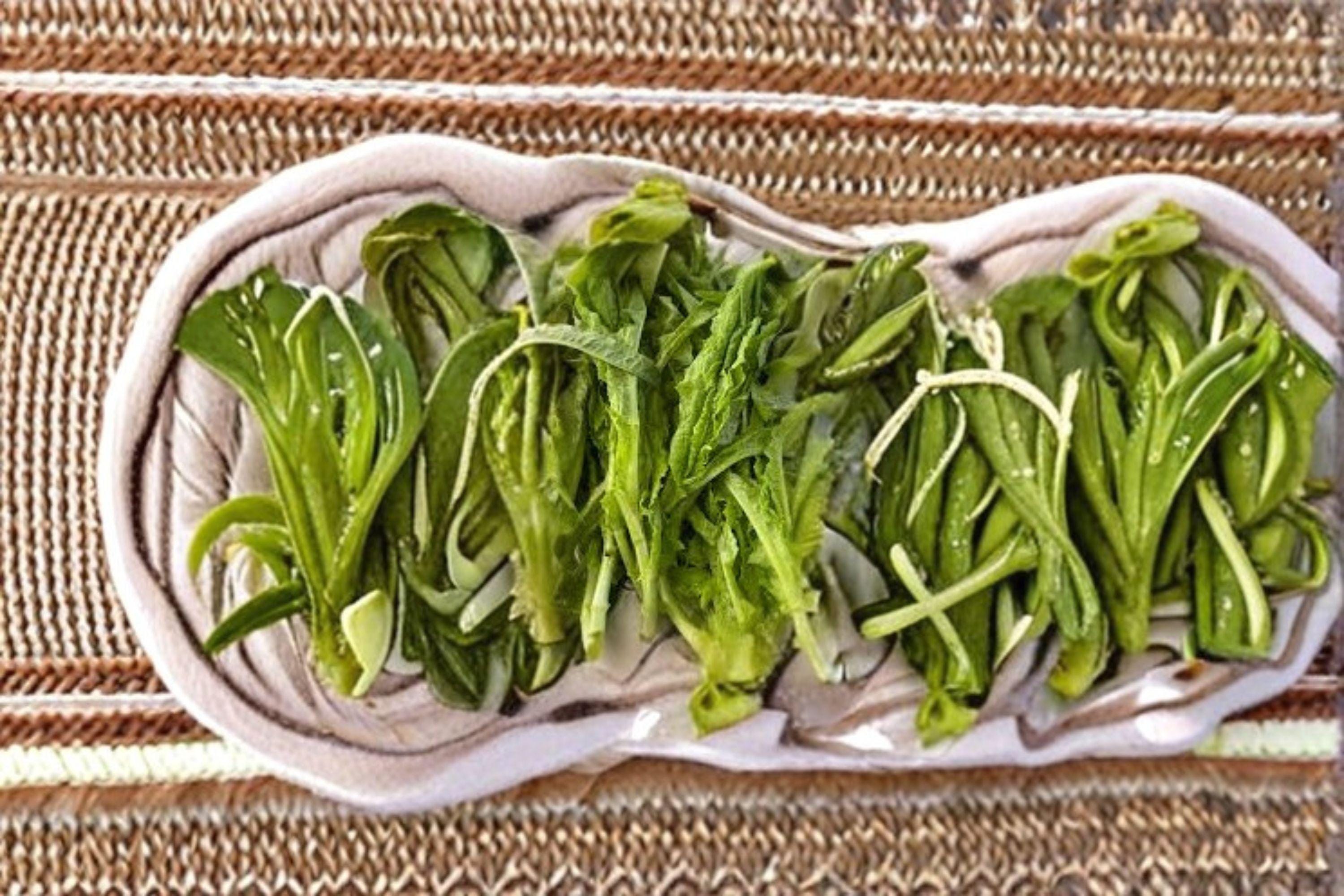 Asparagus Lettuce Seeds – New Yu Mai, Asian Stem Vegetable (200 Seeds)