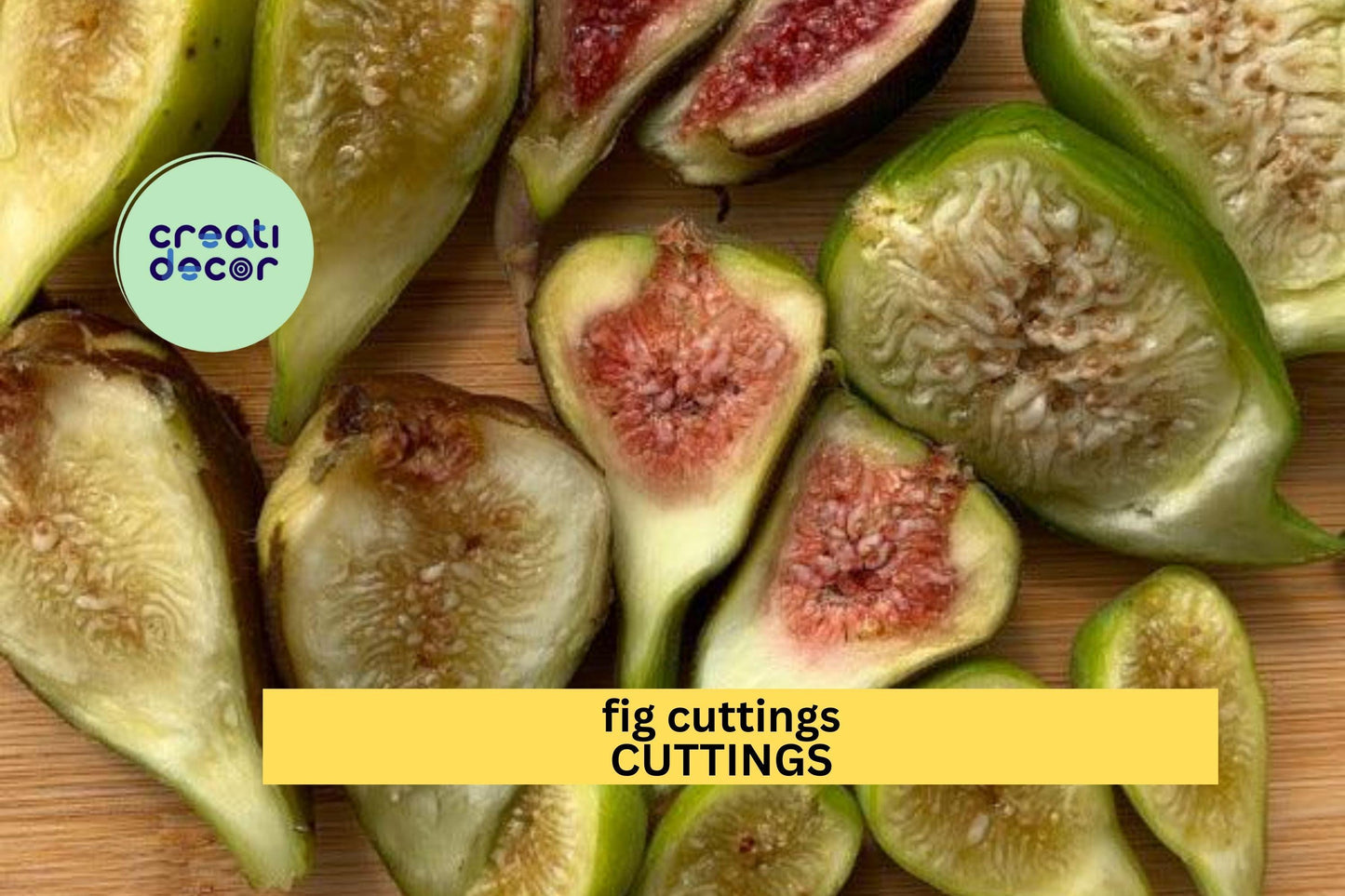 Fig Tree Cuttings (2) | Fresh Unrooted Ficus carica Scions | Easy to Root | Grow Your Own Fruit Tree from Cuttings