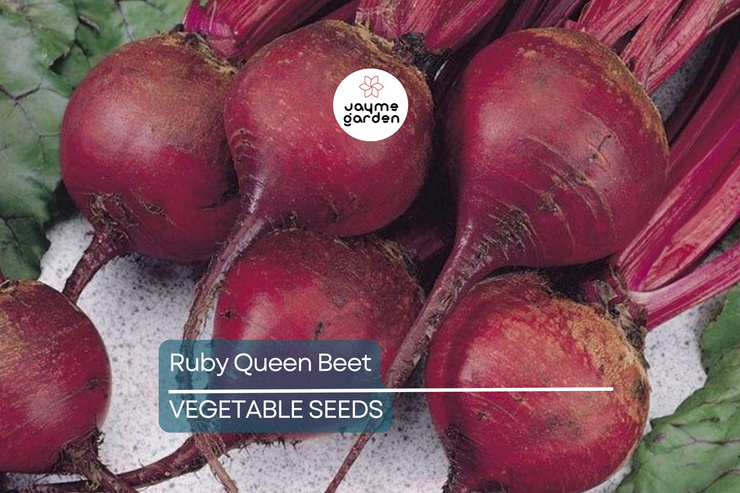 500 Ruby Queen Beet Seeds – Non-GMO Heirloom | Tender & Flavorful | Perfect for Canning | USA Seller