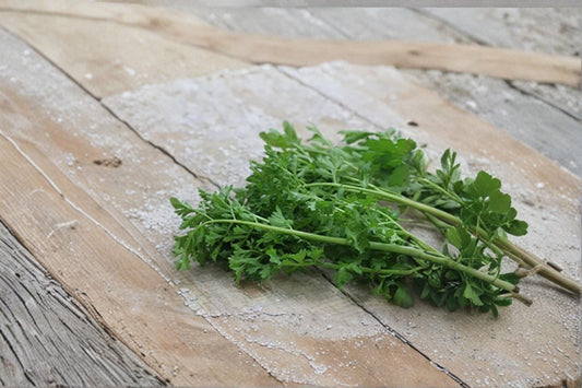 Pepper Cress – Lepidium sativum Seeds | 75 Seeds | Fast-Growing Microgreen Herb | Edible Garden Favorite