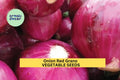 3pcs of 250mg Red Grano Onion Seeds – Mild, Sweet Red Onion for Planting–Perfect for Salads, Cooking, and Home Vegetable Seeds for Planting