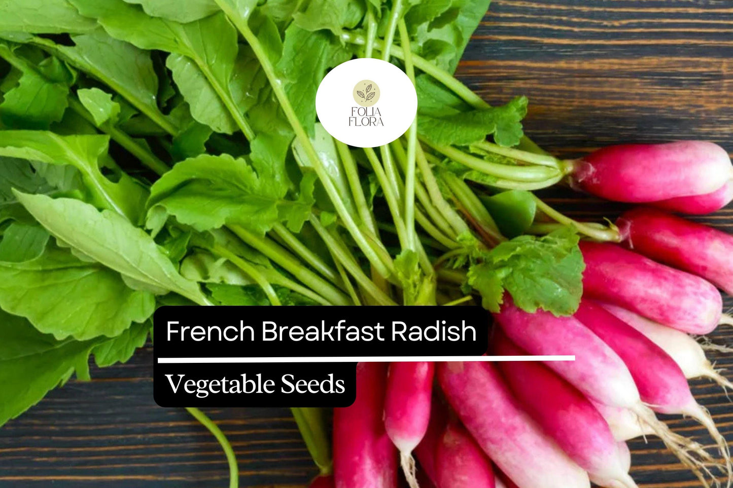 200 Seeds French Breakfast Radish (Raphanus sativus) – Crisp, Mild Flavor, Quick-Growing, Perfect for Salads and Snacking