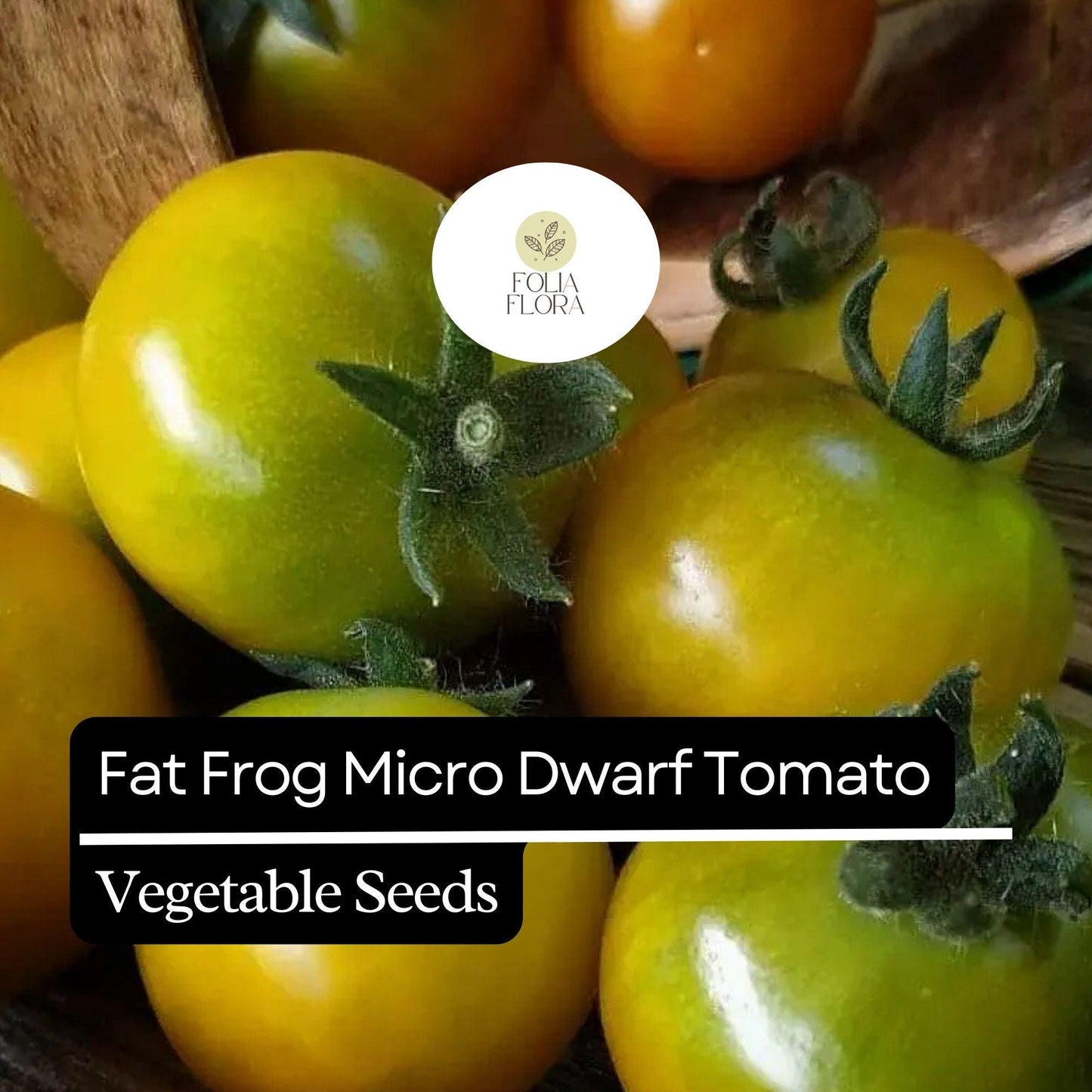 15 Fat Frog Micro Dwarf Tomato Seeds – Heirloom, Non-GMO, Compact & High-Yield