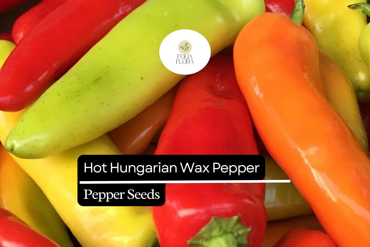 25 Hot Hungarian Wax Pepper Seeds – Capsicum annuum – Heirloom, Spicy & Tangy, High-Yielding