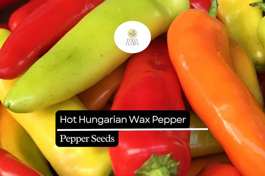 25 Hot Hungarian Wax Pepper Seeds – Capsicum annuum – Heirloom, Spicy & Tangy, High-Yielding
