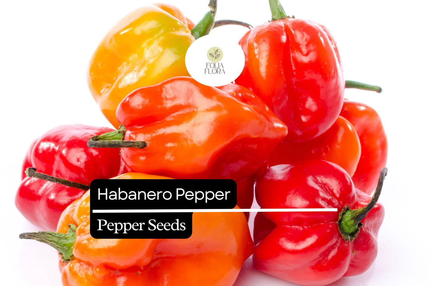 25 Habanero Pepper Seeds – Capsicum chinense – Extra-Hot Chili, Heirloom Variety, Non-GMO, 100,000–350,000 Scoville
