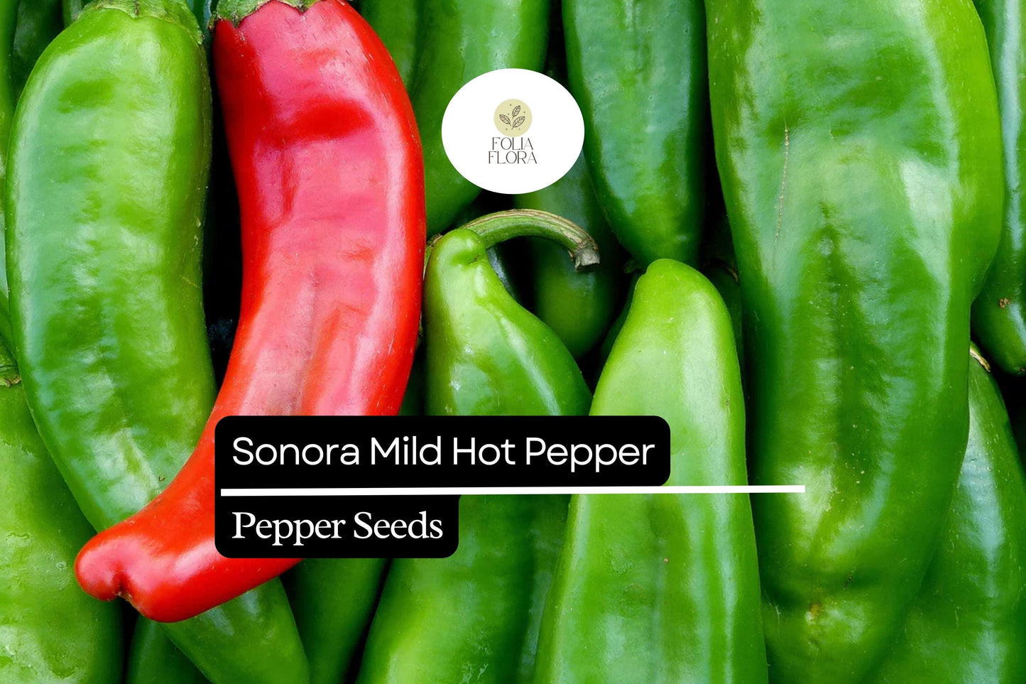 Sonora Mild Hot Pepper Seeds 250mg | Capsicum annuum | Non-GMO, Heirloom, Mild Heat, High-Yield, Perfect for Salsas, Roasting, and Cooking