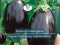 50 Seeds Eggplant Black Beauty (Solanum melongena) - Heirloom, Non-GMO, Dark Purple, Great for Garden, Organic Vegetable Planting