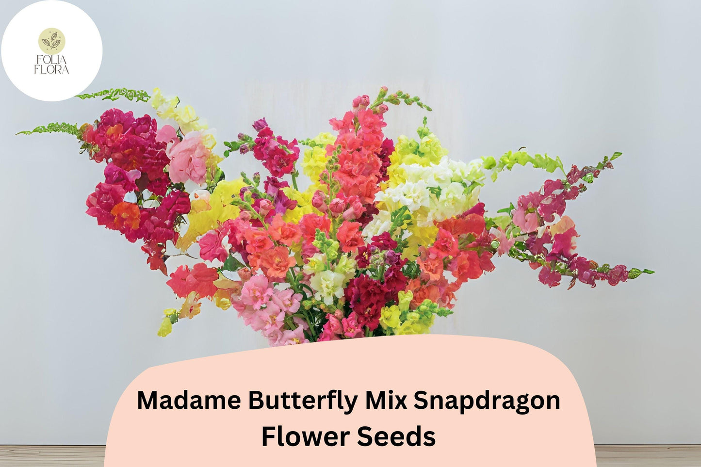 Antirrhinum majus Madame Butterfly Mix Snapdragon Seeds – 1000+ Double-Petal Blooms for Garden & Cut Flowers