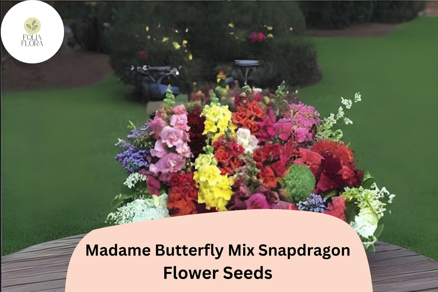 Antirrhinum majus Madame Butterfly Mix Snapdragon Seeds – 1000+ Double-Petal Blooms for Garden & Cut Flowers
