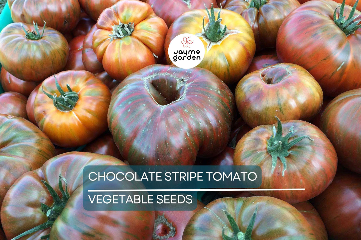 30+ Chocolate Stripes Tomato Seeds - Heirloom - Organic - Non-GMO - Rare Bicolor - Sweet & Earthy Flavor - Long Season Variety