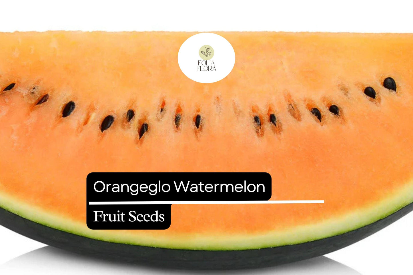 10 Seeds Orangeglo Watermelon, Citrullus Lanatus, Sweet Orange Flesh Melon