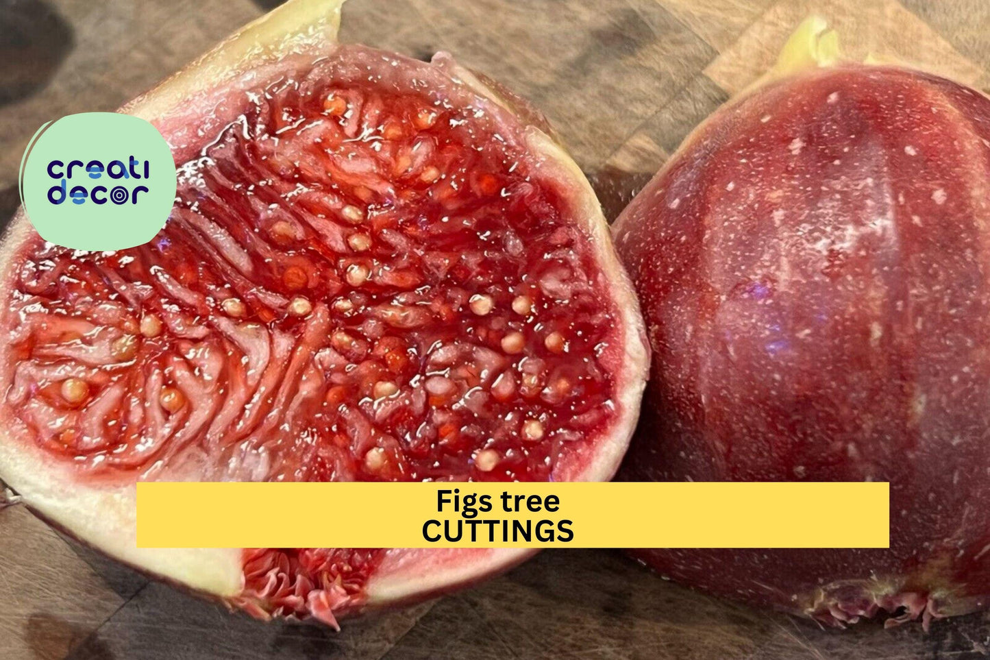 2 Burgan UKN Fig Tree Cuttings | Rare Ficus Carica Variety | Fresh Unrooted Wood for Rooting | Edible Fruit Tree Starter