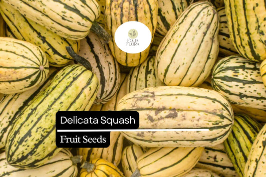20 Seeds Delicata Squash (Cucurbita pepo) – Sweet, Nutty Flavor, Easy-to-Grow Winter Squash