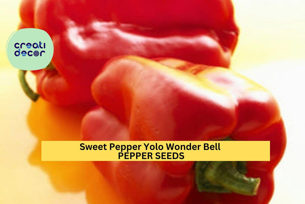 3pcs of 300mg Yolo Wonder Bell Pepper Seeds – Sweet, Blocky Green Peppers for Containers, Raised Beds, and Home Gardens Seeds for Planting
