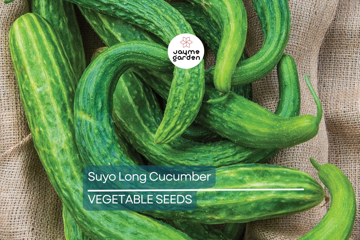 100+ Suyo Long Cucumber Seeds - Heirloom - Burpless - Organic - Non-GMO - Rare Asian Variety - Sweet & Crisp - Grows Up to 15"
