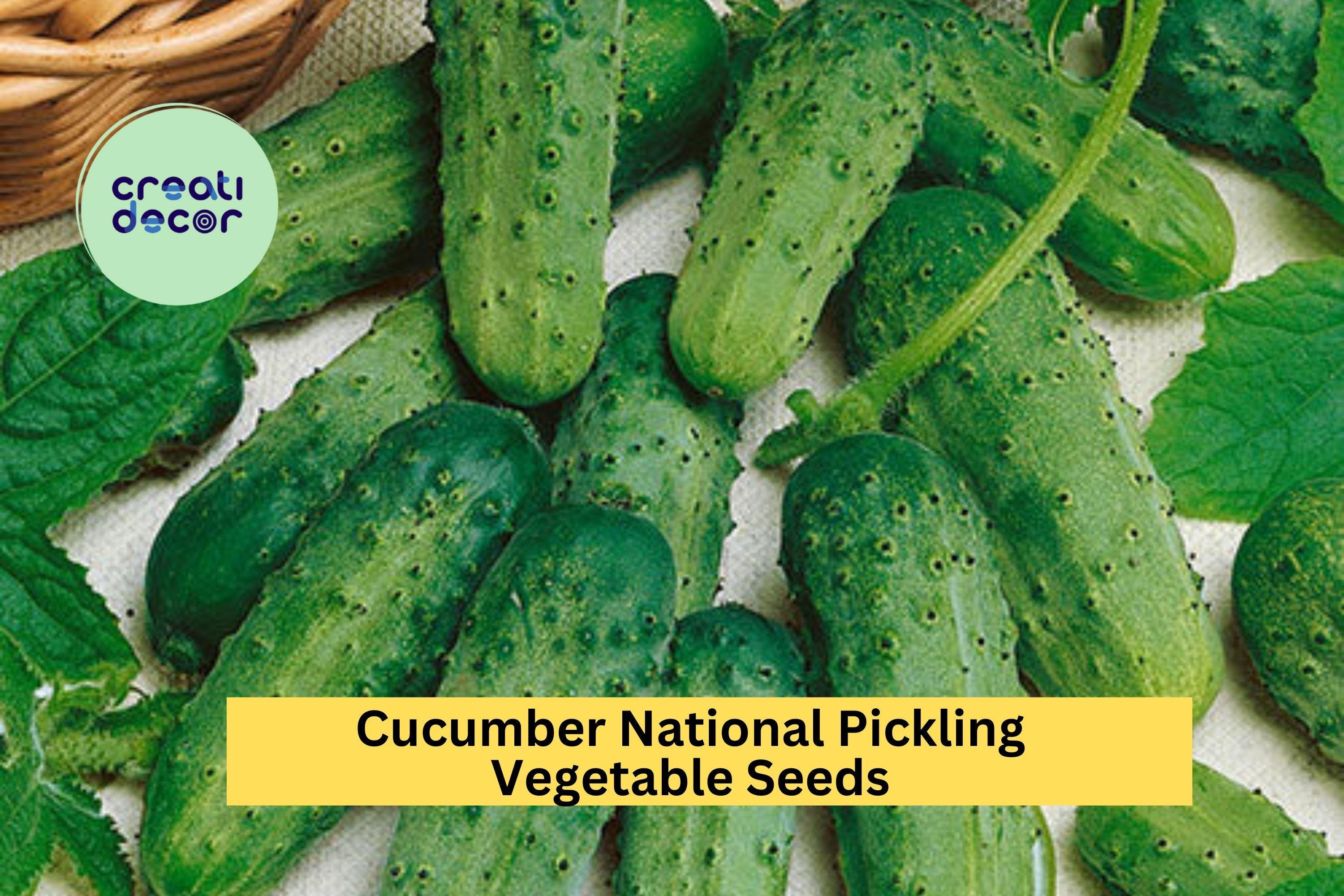 3pcs x 1g Cucumber National Pickling Seeds – High-Yield Variety for Pickles or Fresh Use in Gardens or Containers Seeds for Planting
