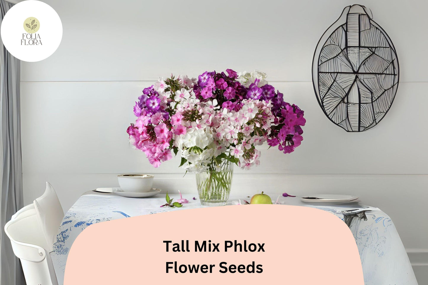100+ Tall Mix Phlox Seeds – Perennial Garden Flowers, Phlox paniculata Blend
