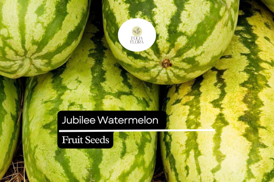 5 Seeds Jubilee Watermelon (Citrullus lanatus) – Sweet, Juicy, Striped Heirloom Variety