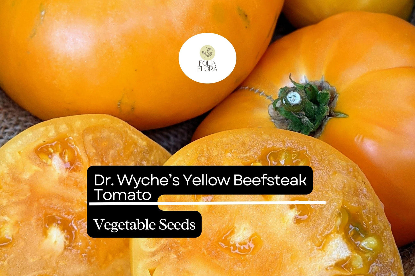 30 Dr. Wyche’s Yellow Tomato Seeds – Solanum lycopersicum – Heirloom Beefsteak, High-Yielding, Perfect for Slicing