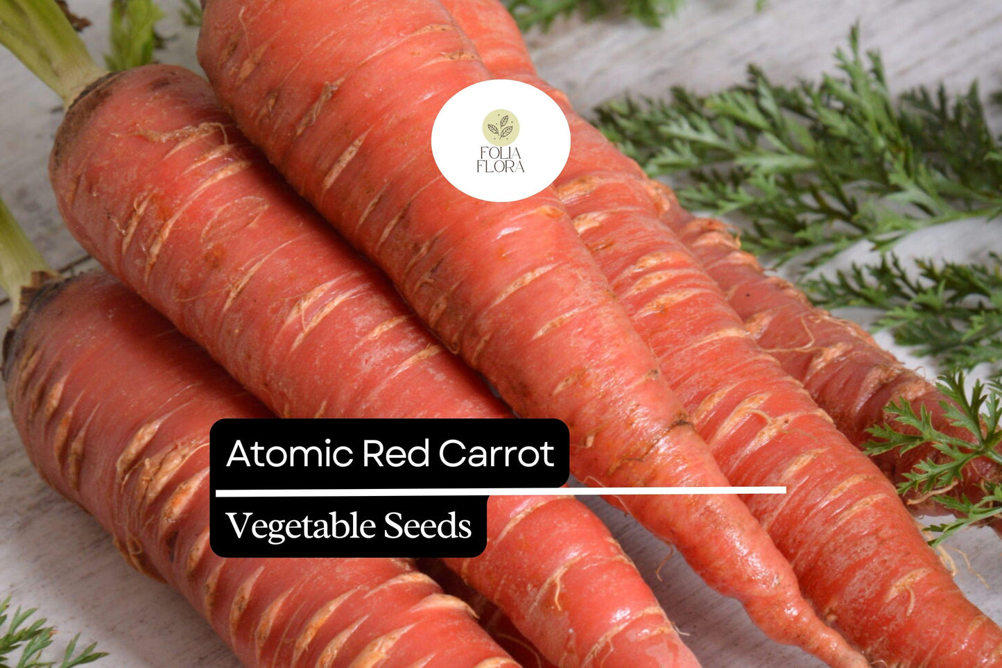 150 Seeds Atomic Red Carrot (Daucus carota) – Vibrant, Nutrient-Rich Red Carrot Variety