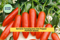 3pcs of 250mg Serrano Tampiqueno Hot Pepper Seeds – Spicy, Productive Variety for Salsa & Cooking – Heirloom Garden Seeds for Planting