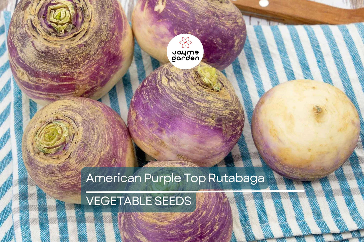 1000 American Purple Top Rutabaga Seeds – Heirloom, Non-GMO, Cold-Hardy Root Vegetable