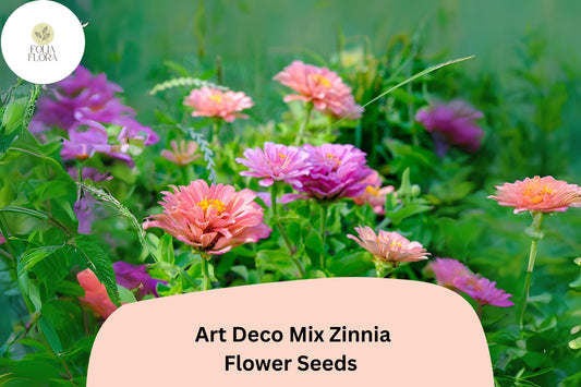 100+ Art Deco Mix Zinnia Seeds – Bold Colorful Blooms for Cottage & Cut Flower Gardens
