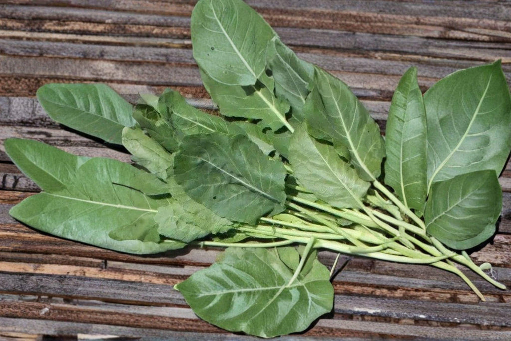 Collards – Vates 300 Seeds | Heirloom Collard Green | Compact Plants | Excellent Cold Tolerance