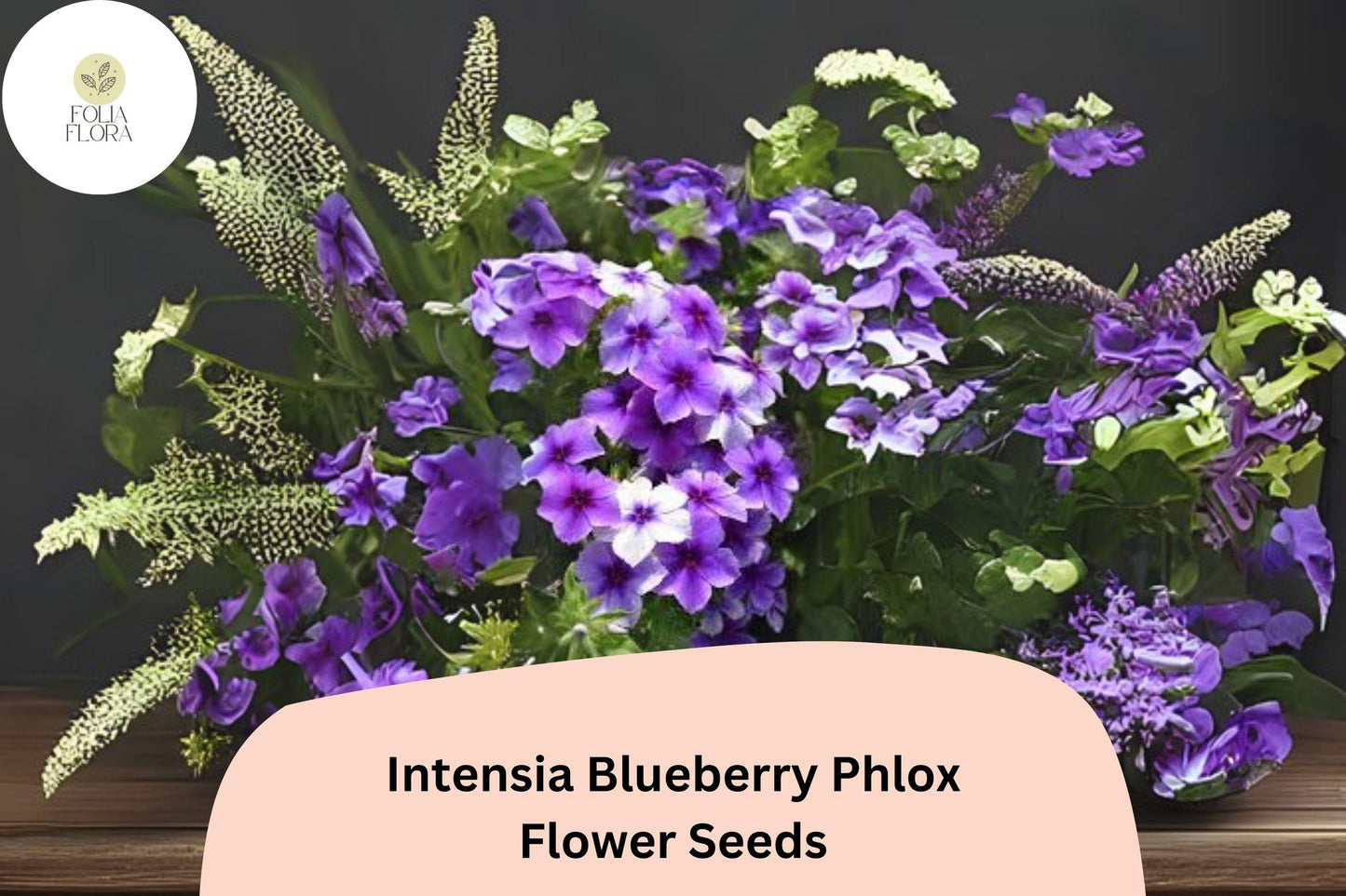 100+ Intensia Blueberry Phlox Seeds – Garden Flower Seeds for Planting, Phlox hybrida
