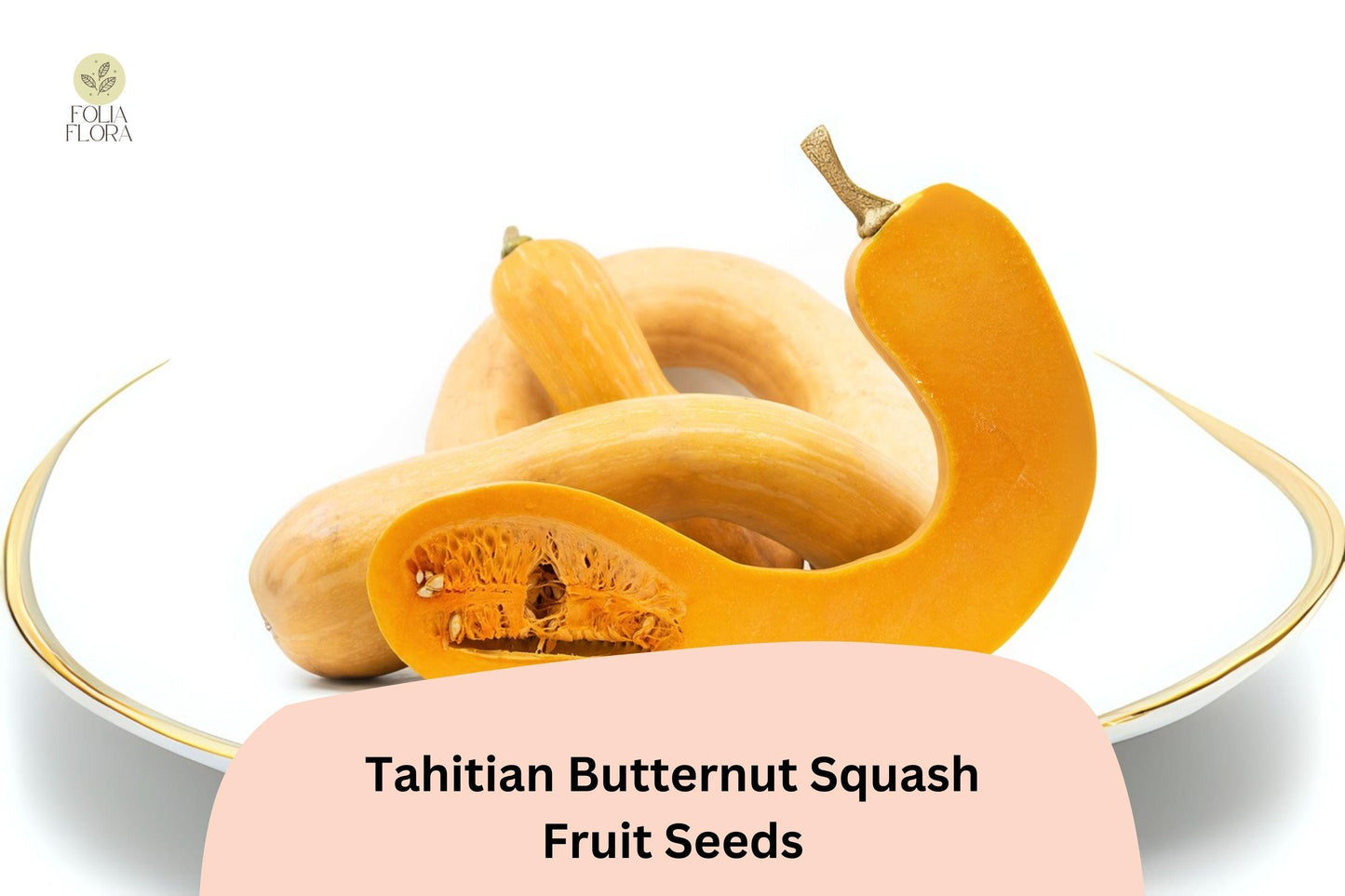 25+ Tahitian Butternut Squash Seeds | Heirloom Winter Squash | Sweet, Long-Necked Variety for Baking, Roasting & Storage