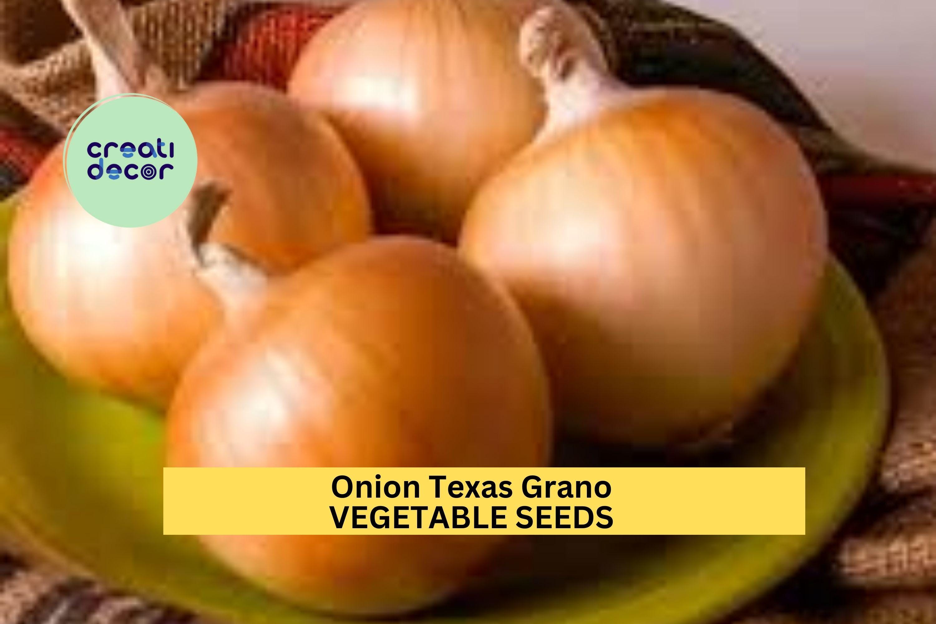 3pcs of 250mg Onion Texas Grano 502 Seeds – Sweet Yellow Onion Vegetable Seeds for Planting–Mild, Large Bulbs Home Garden Seeds for Planting