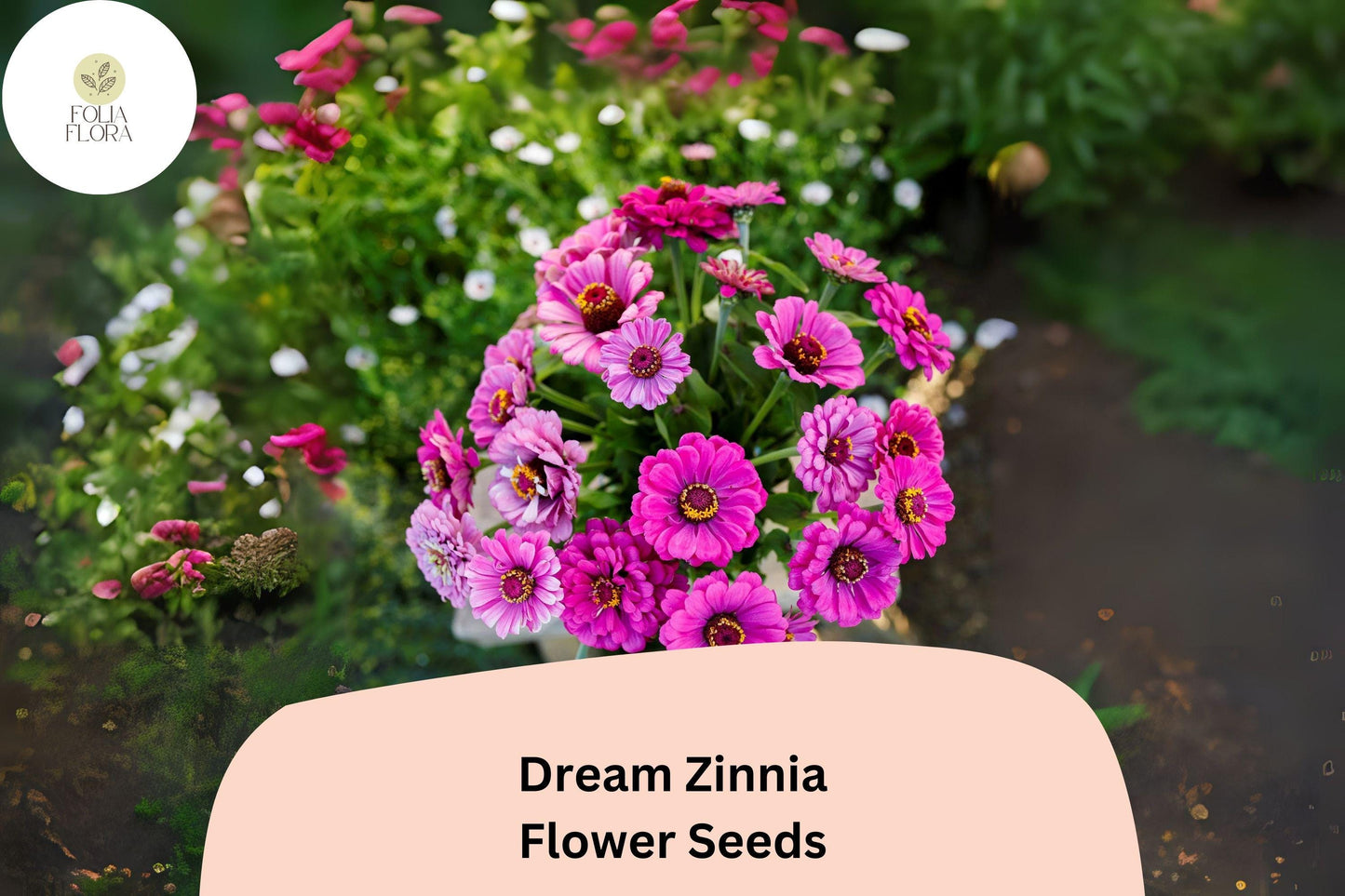 100+ Dream Zinnia Seeds – Soft Pink Blooms for Summer Gardens, Borders & Cut Flowers