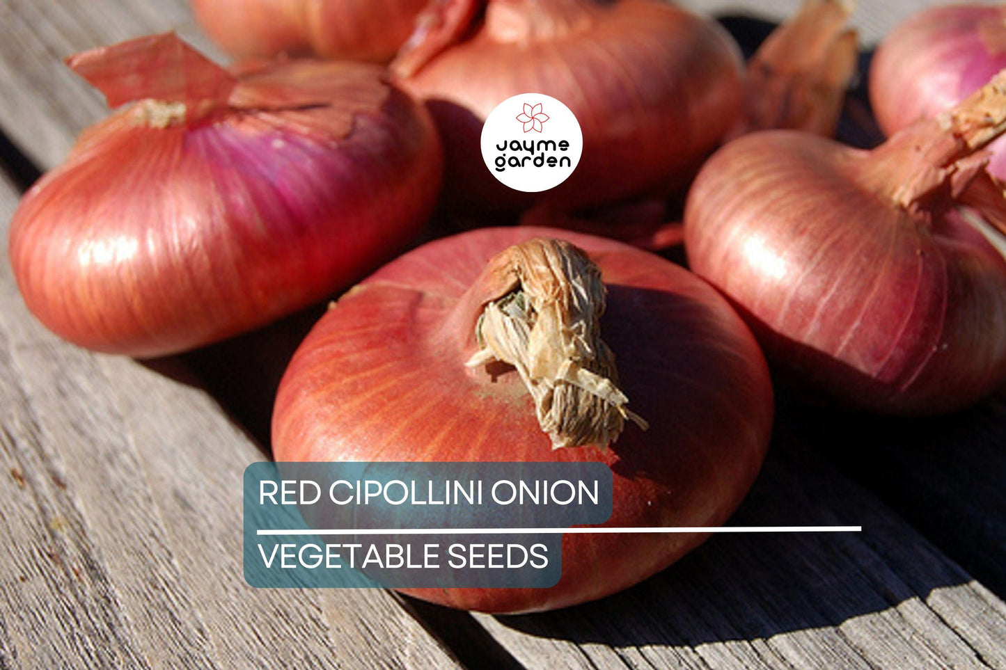 25 Red Cipollini Onion Seeds - Non-GMO, Heirloom Seeds For Planting, Sweet & Flat, USA Grown, Perfect for Roasting and Pickling