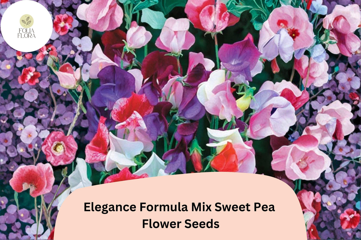 Elegance Formula Mix Sweet Pea Seeds | Lathyrus odoratus Colorful Climbing Vine (50+ Seeds)