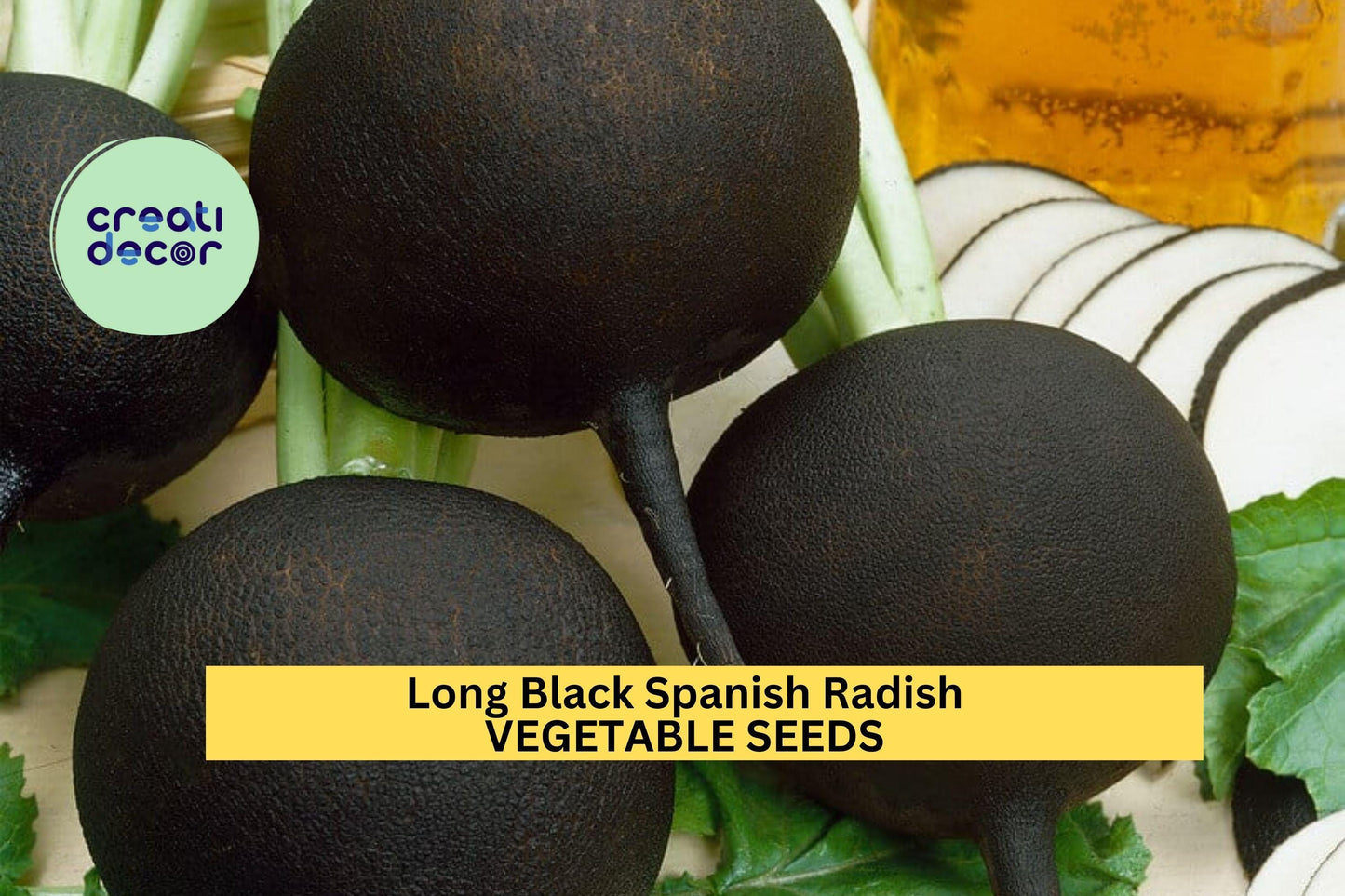 500+ Long Black Spanish Radish Seeds – Heirloom Winter Radish for Garden Planting, Crisp White Flesh & Black Skin – USA